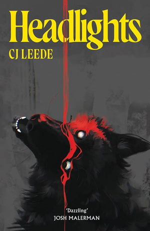 Headlights cover image