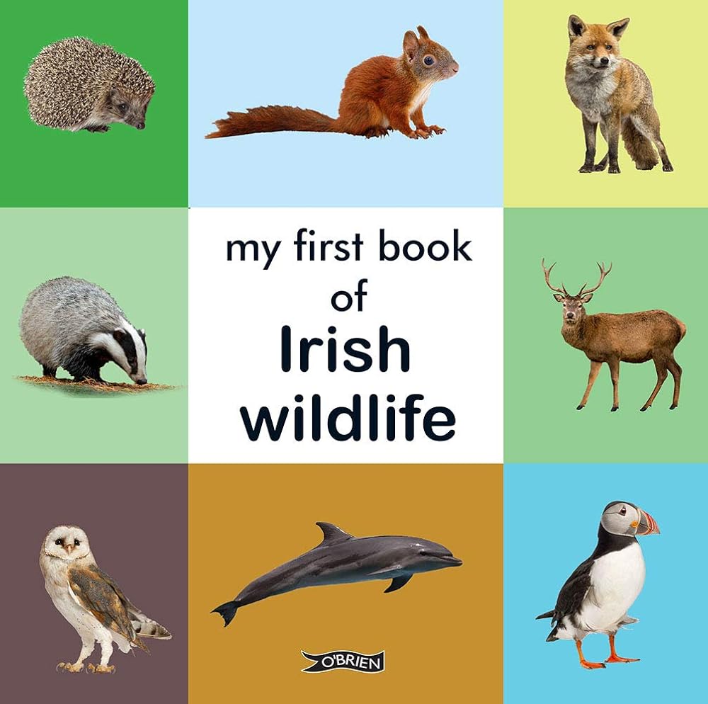 My First Book of Irish Wildlife (First Steps) cover image