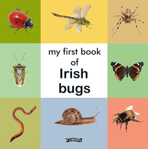 My First Book of Irish Bugs (First Steps) cover image