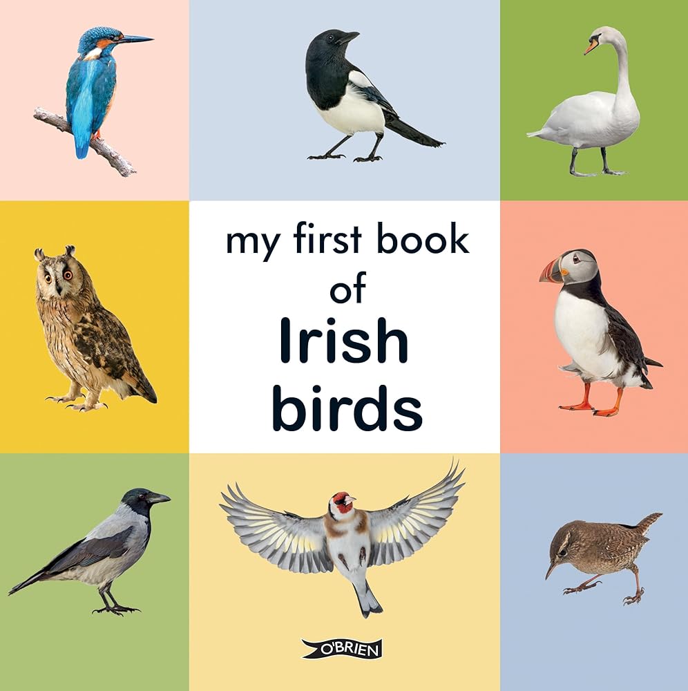My First Book of Irish Birds (First Steps) cover image