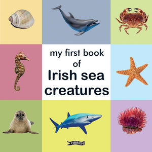 My First Book of Irish Sea Creatures (First Steps) cover image