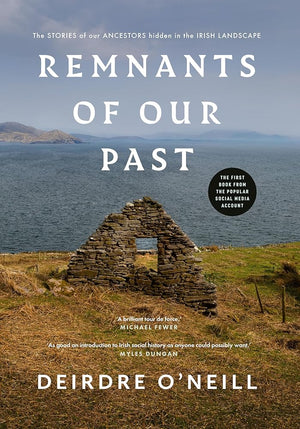 Remnants of Our Past: The STORIES of our ANCESTORS hidden in the IRISH LANDSCAPE cover image