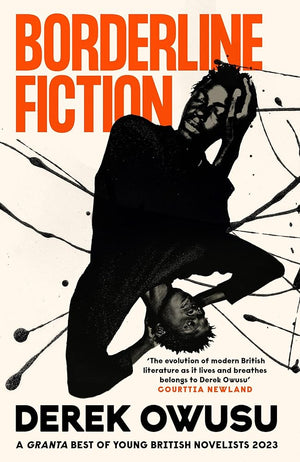 Borderline Fiction cover image