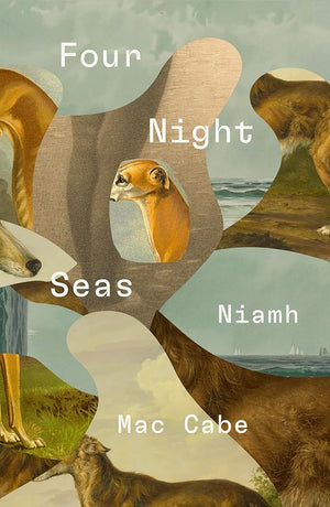 Four Night Seas cover image